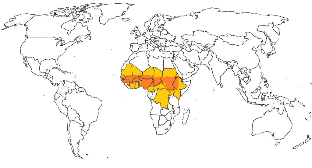 髄膜炎菌はアフリカの髄膜炎ベルトと呼ばれる、サハラ地域で特に流行しています。